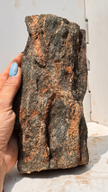 Fiery Iron-Veined Permineralized Wood Specimen | South Carolina Tectonic Fossil