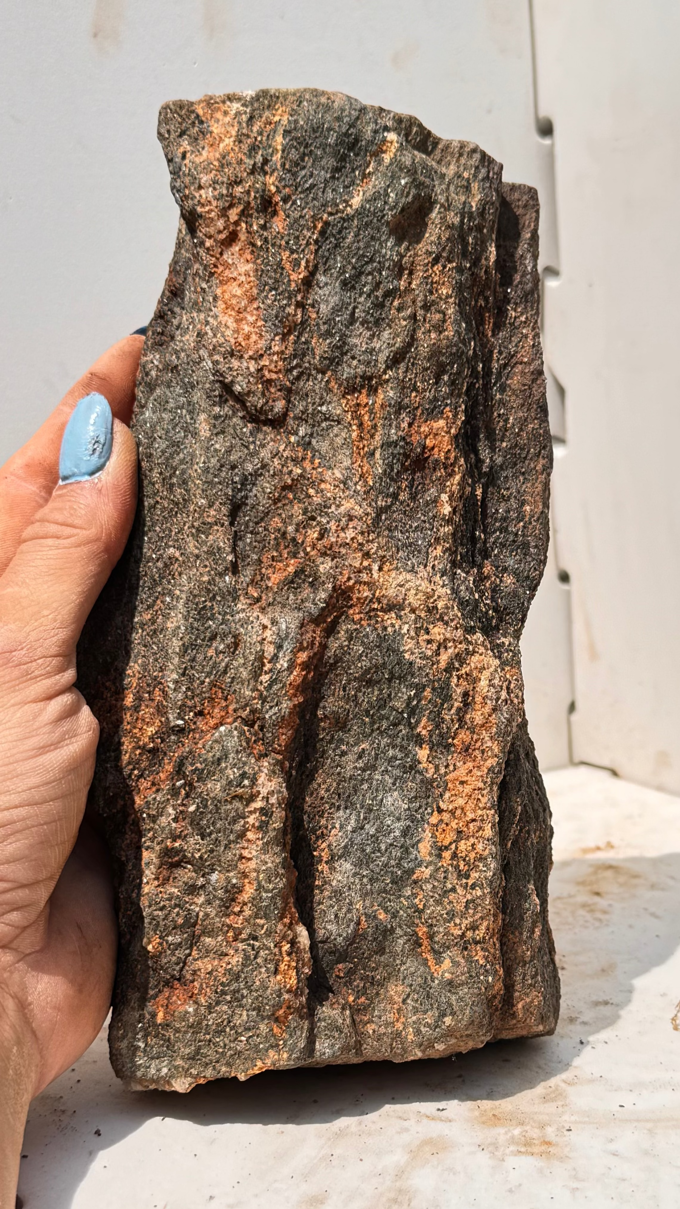 Fiery Iron-Veined Permineralized Wood Specimen | South Carolina Tectonic Fossil